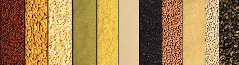 五谷杂粮组合平铺对比展示,高清,摄影图,摄影图片,图片大全,摄影图免费下载